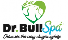 Dr. Bull 205 Nguyễn Cư Trinh